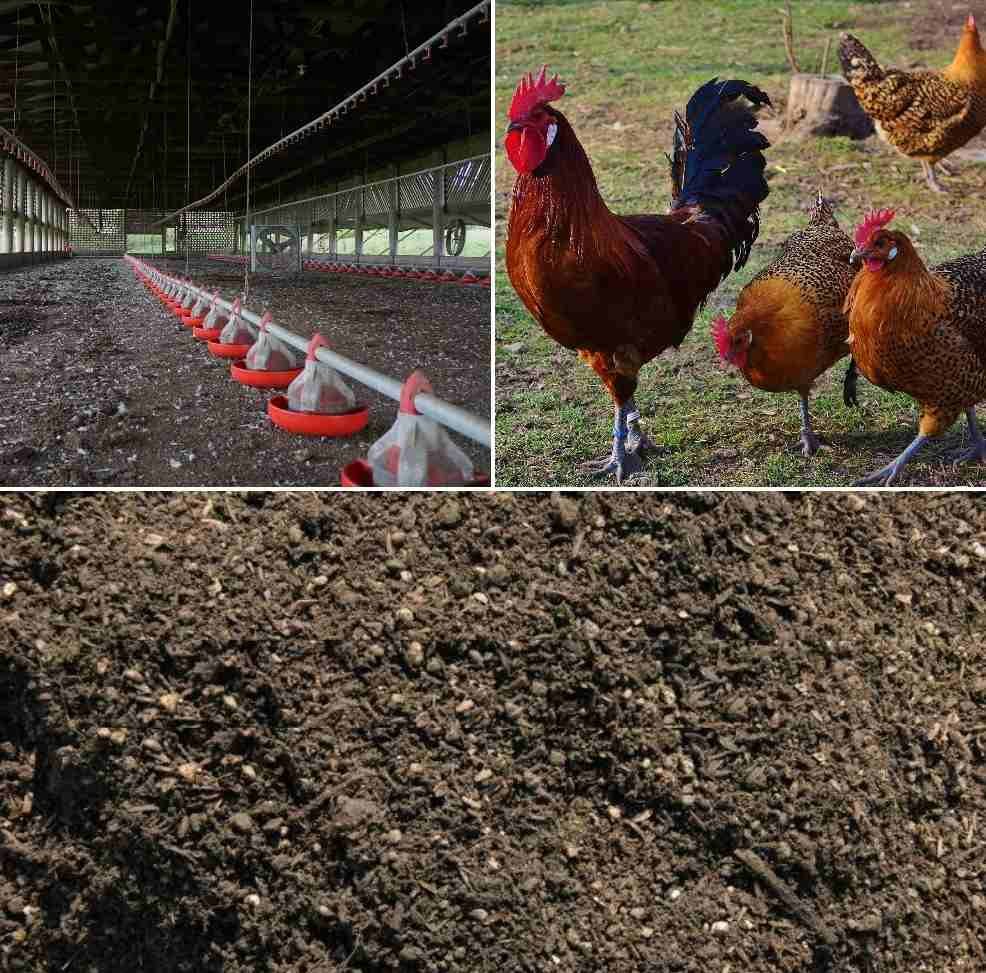 Organic Farming